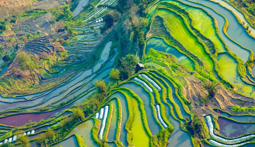 宝妈必备神器：枣强县产品视频拍摄轻松育儿好帮手